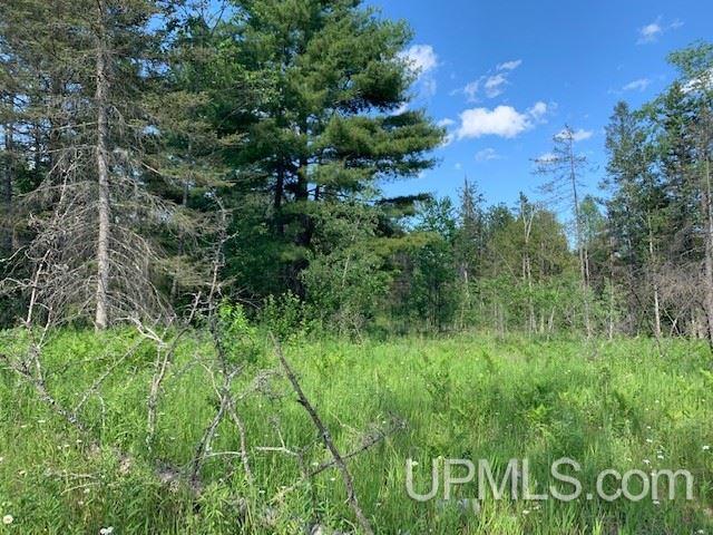 Tbd M69 Nadeau, MI 49863 - Photo 1 of 14