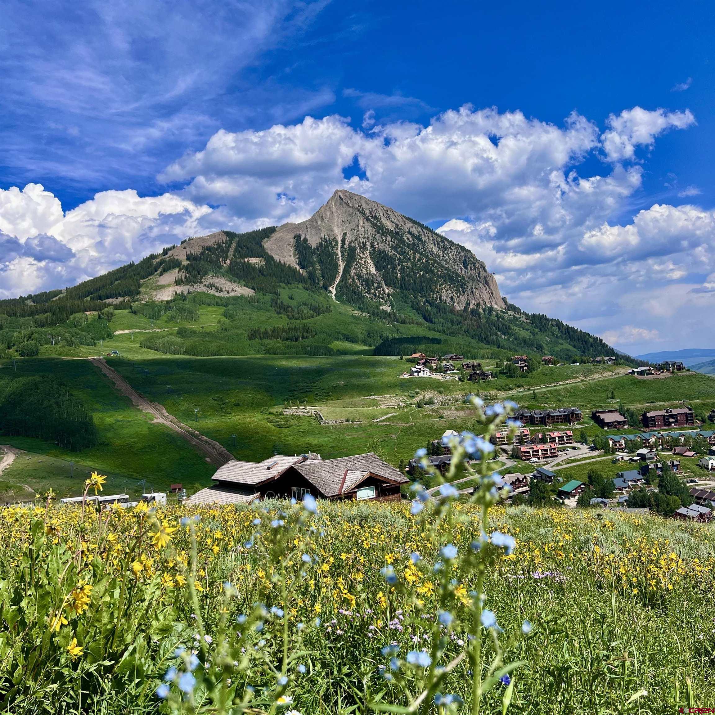 a view of a lake with a house in the background
