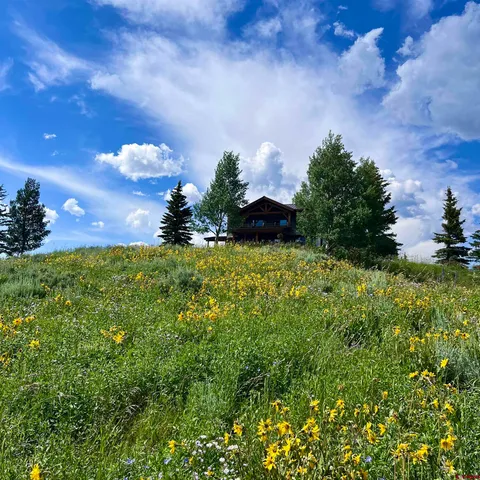 a view of a golf course with a tree