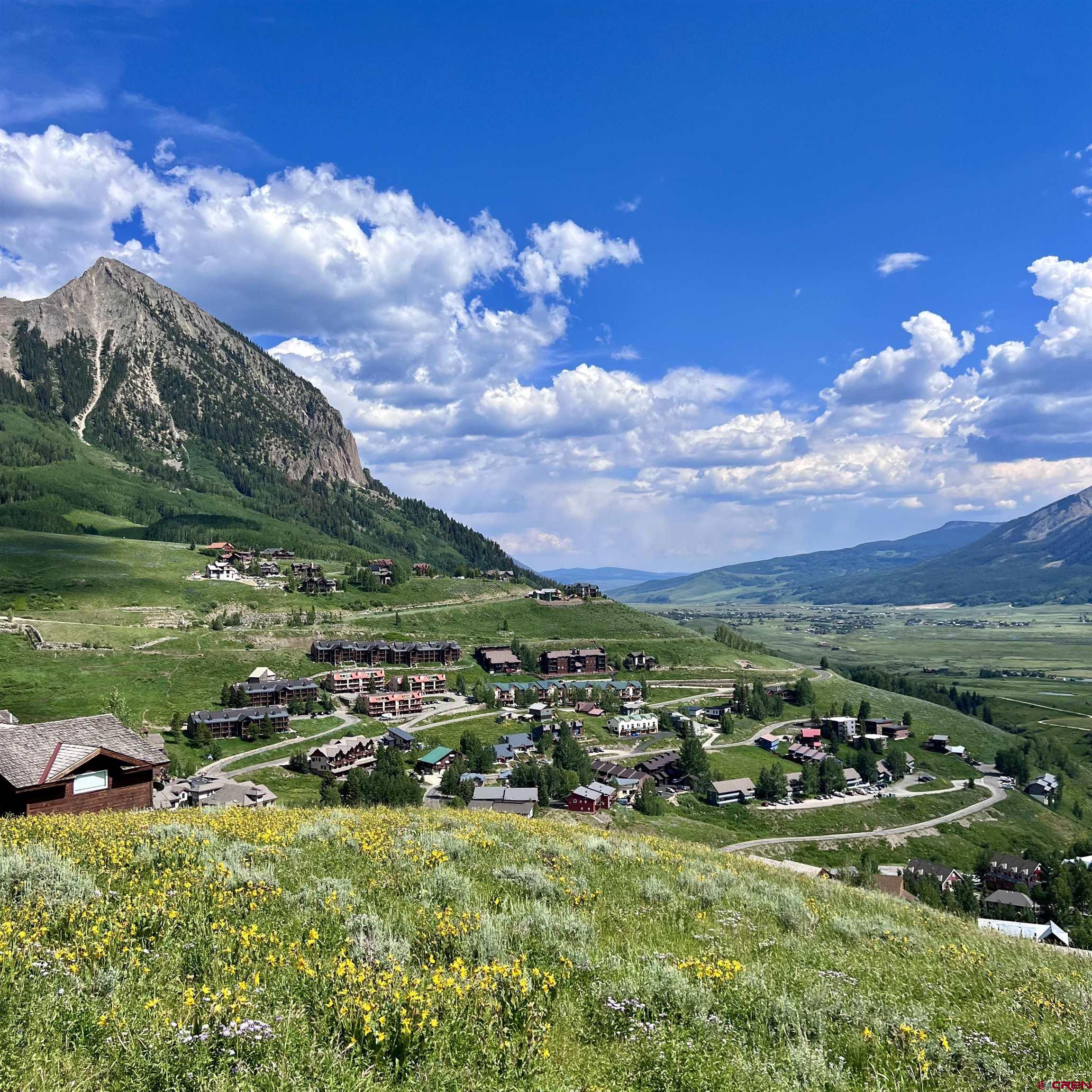 20 Buttercup Lane Crested Butte, CO 81225 - Photo 13 of 21 a view of a city