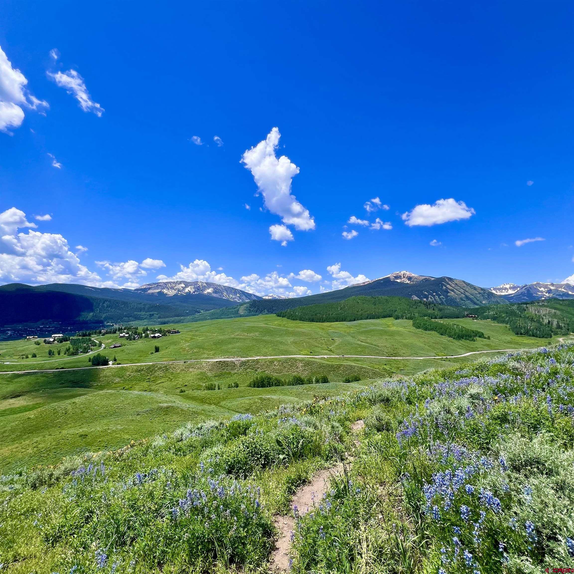 20 Buttercup Lane Crested Butte, CO 81225 - Photo 19 of 21 a view of a big yard with lots of green space and mountain view