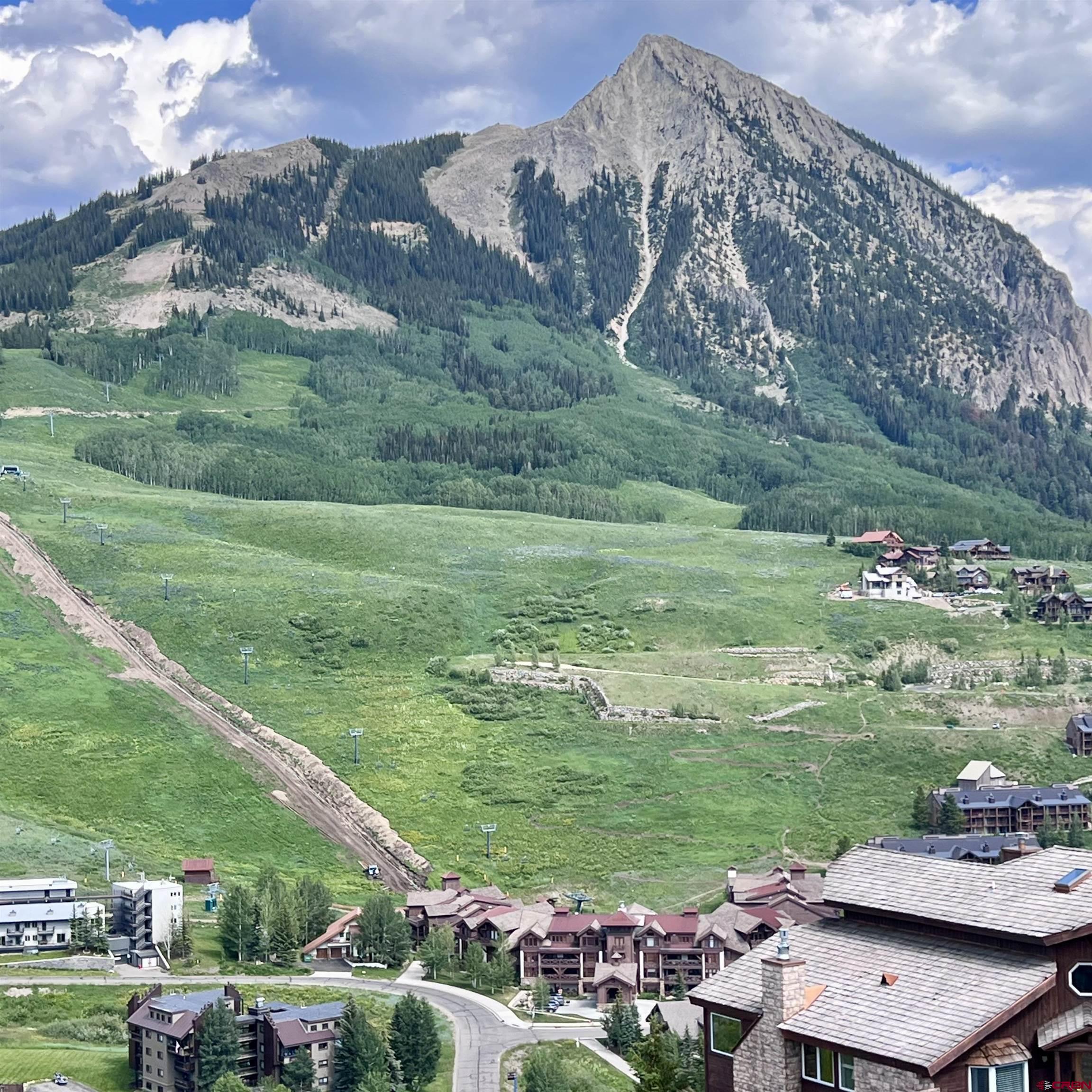 20 Buttercup Lane Crested Butte, CO 81225 - Photo 2 of 21 a view of a grassy field with an trees