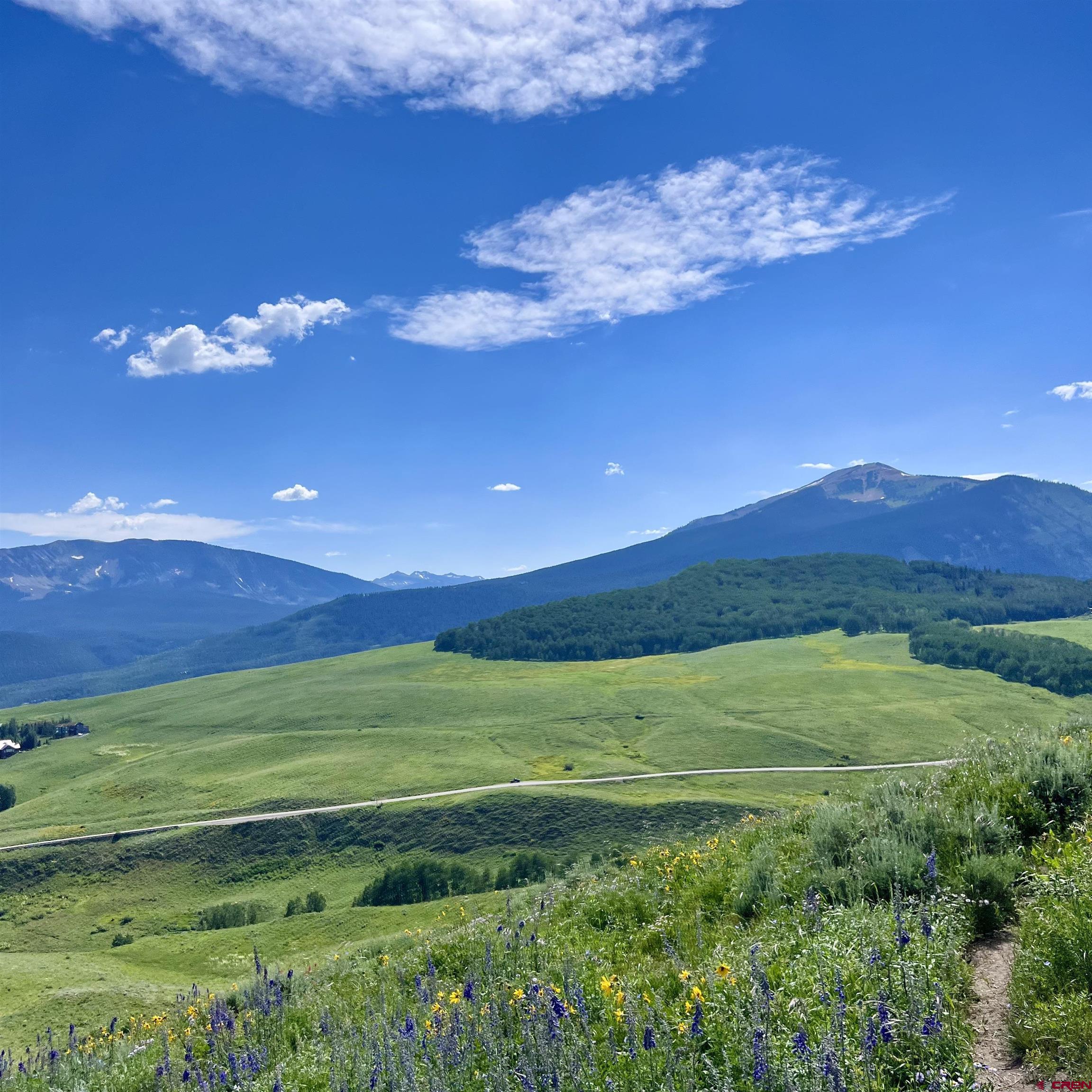 20 Buttercup Lane Crested Butte, CO 81225 - Photo 3 of 21 a view of a big yard with green space