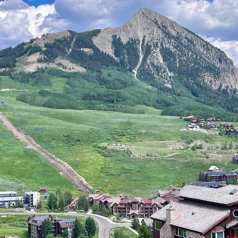 a view of a grassy field with an trees