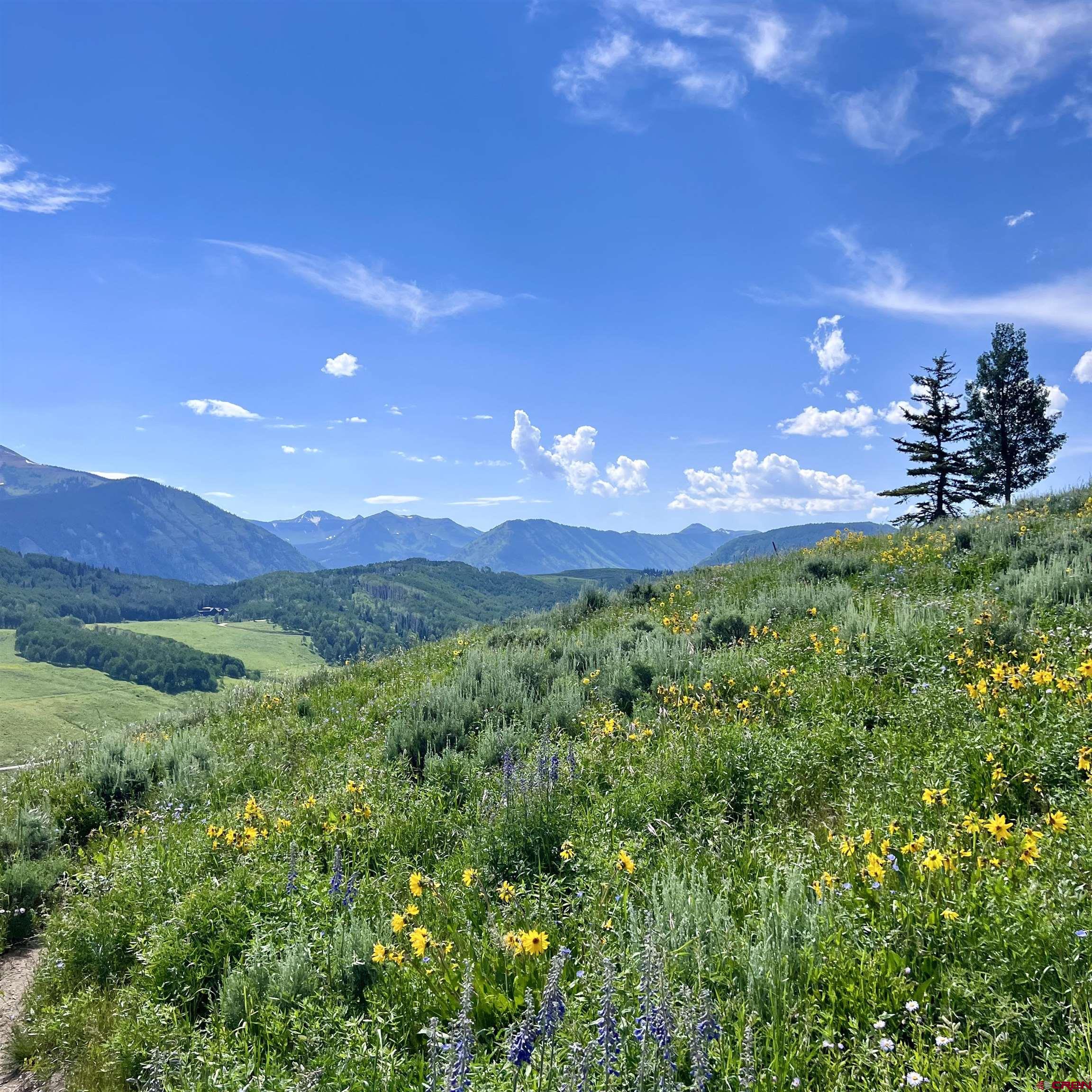 20 Buttercup Lane Crested Butte, CO 81225 - Photo 4 of 21