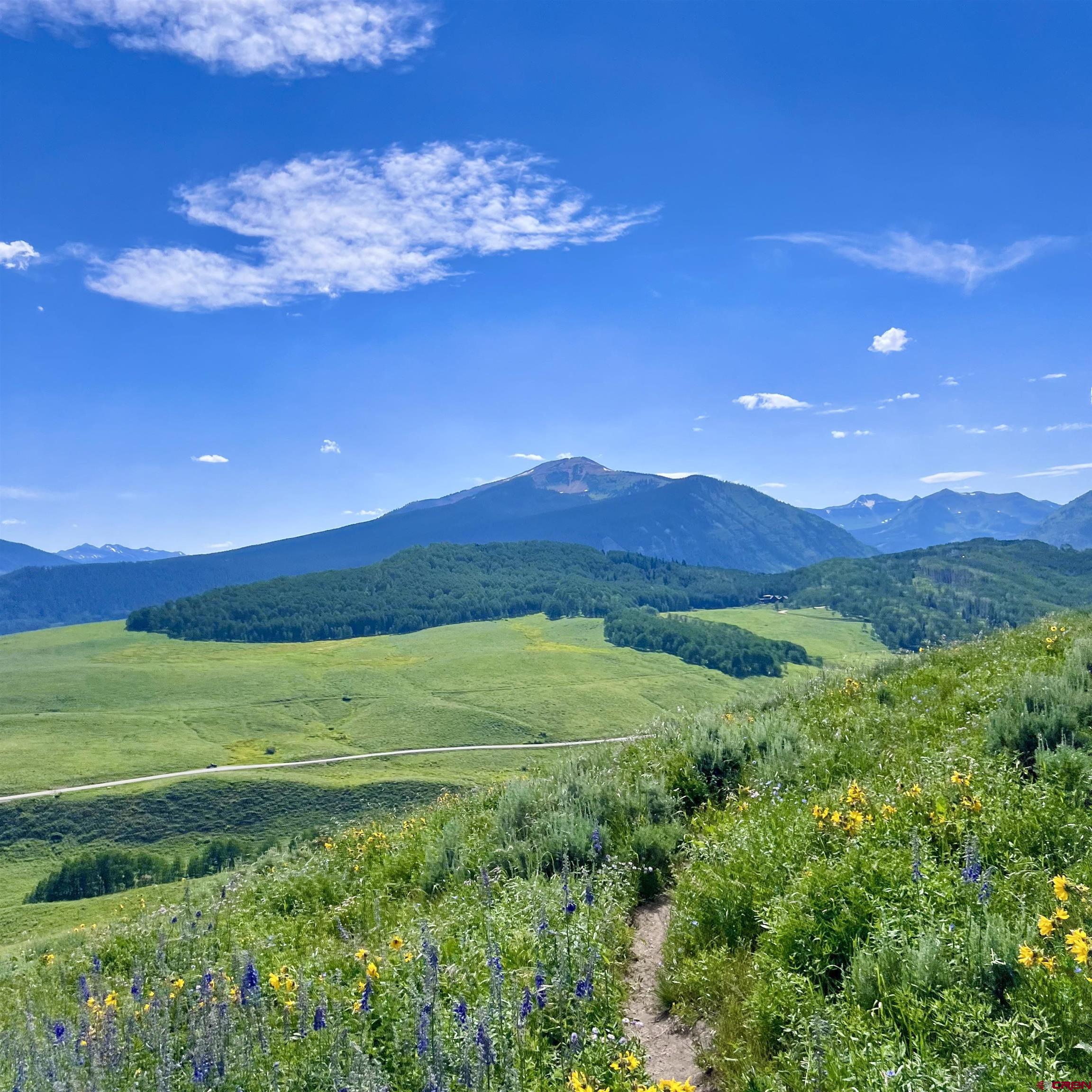 20 Buttercup Lane Crested Butte, CO 81225 - Photo 5 of 21 a view of a big room with a garden