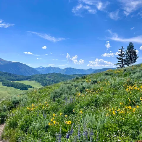 a view of a big room with a garden