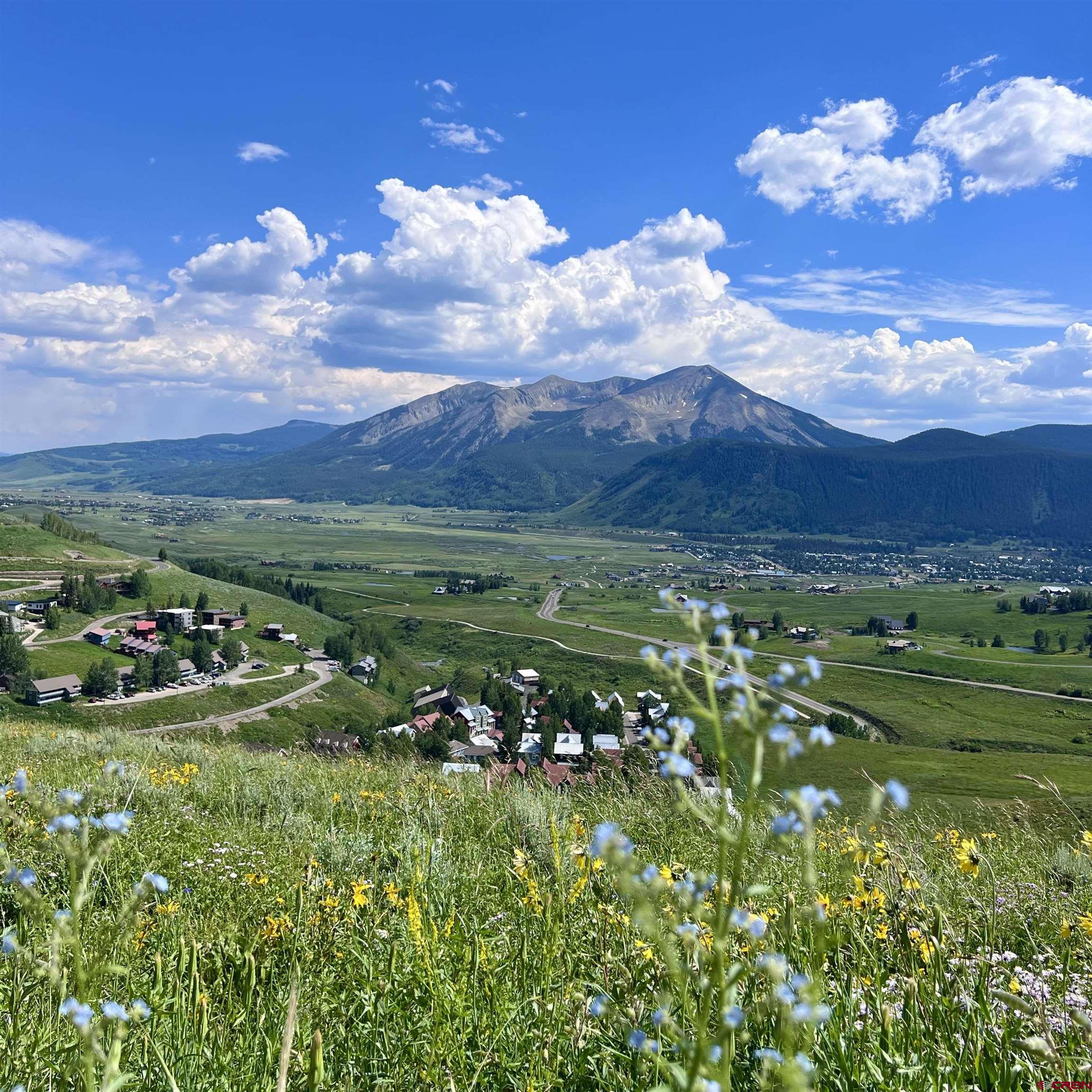 20 Buttercup Lane Crested Butte, CO 81225 - Photo 7 of 21 a view of a golf course with a tree