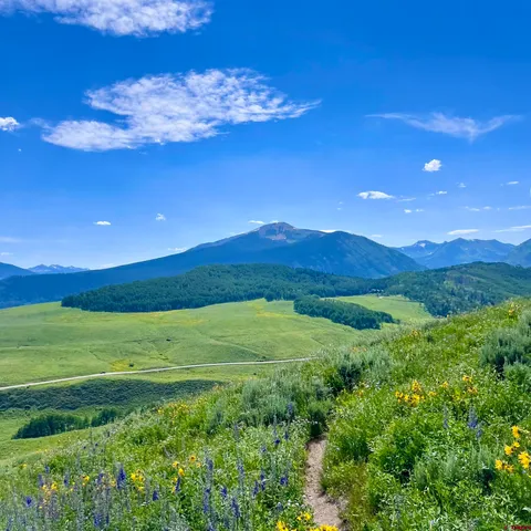 a view of a big yard with lots of green space and mountain view