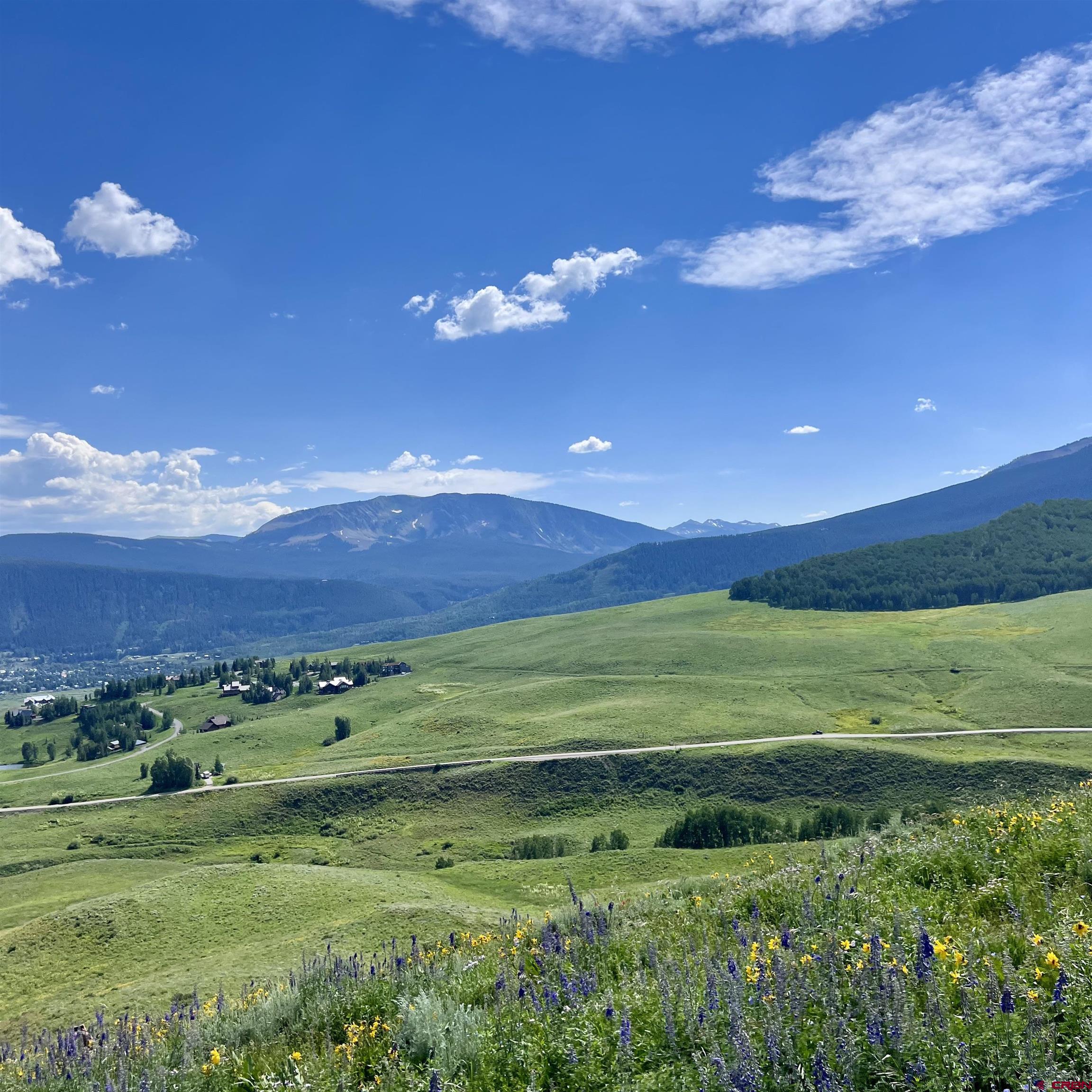 20 Buttercup Lane Crested Butte, CO 81225 - Photo 8 of 21 a view of a big yard with lots of green space and mountain view