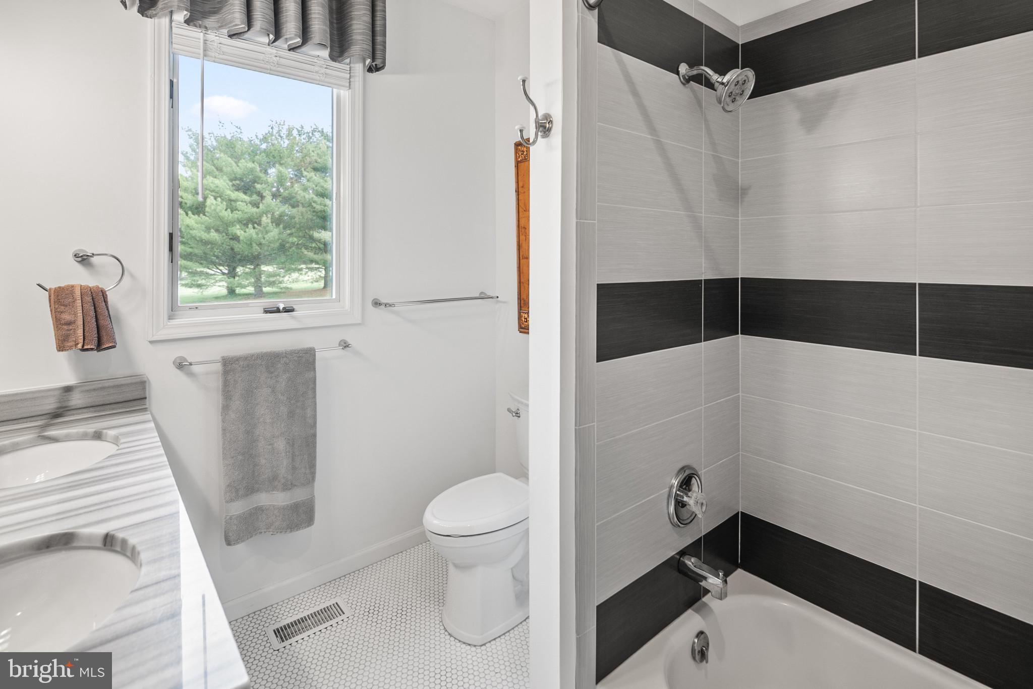 16836 Hardy Road Mount Airy, MD 21771 - Photo 39 of 68 Hall Bathroom