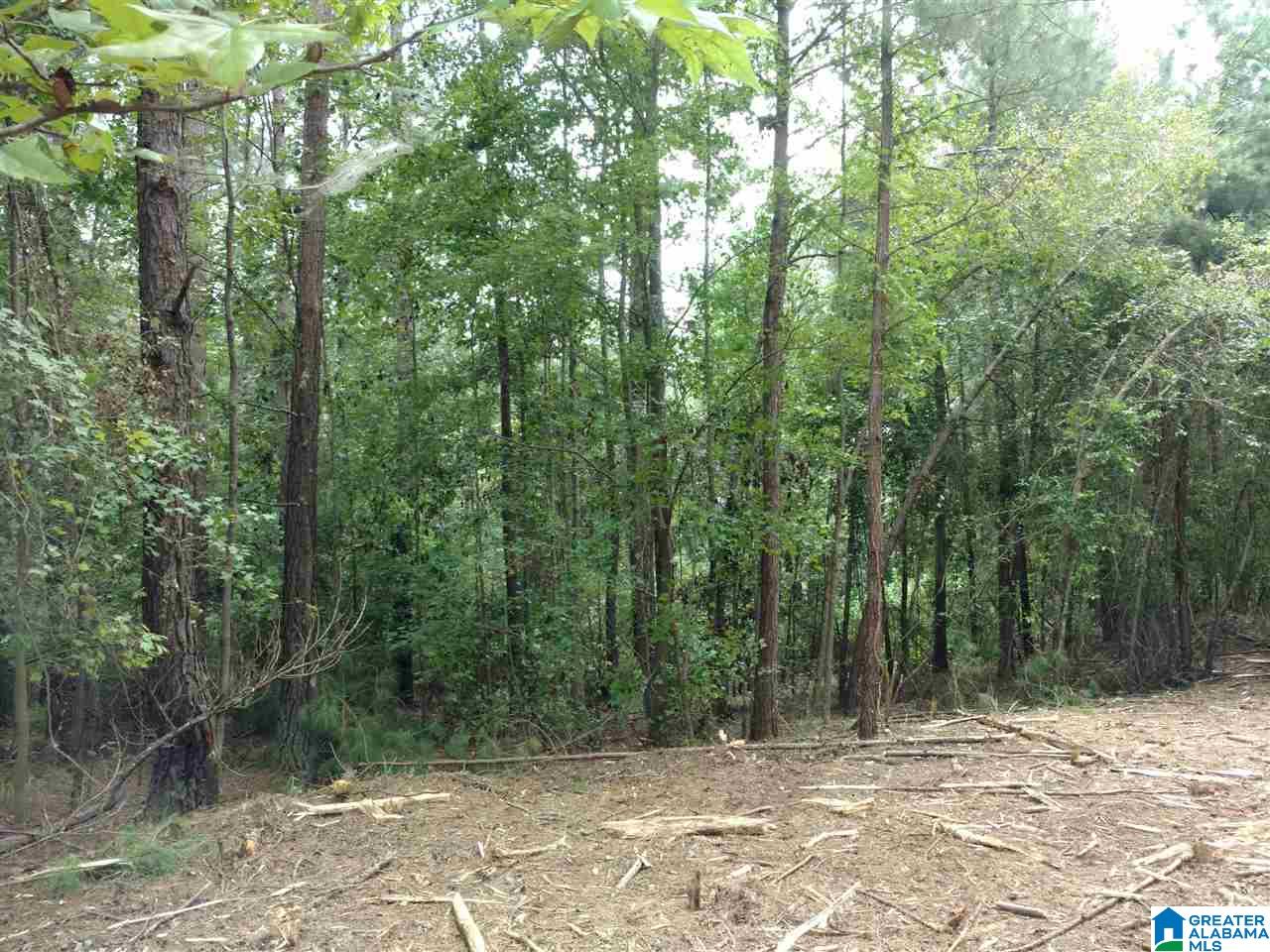 6 County Road, Unit 85 Wedowee, AL 36278 - Photo 2 of 2