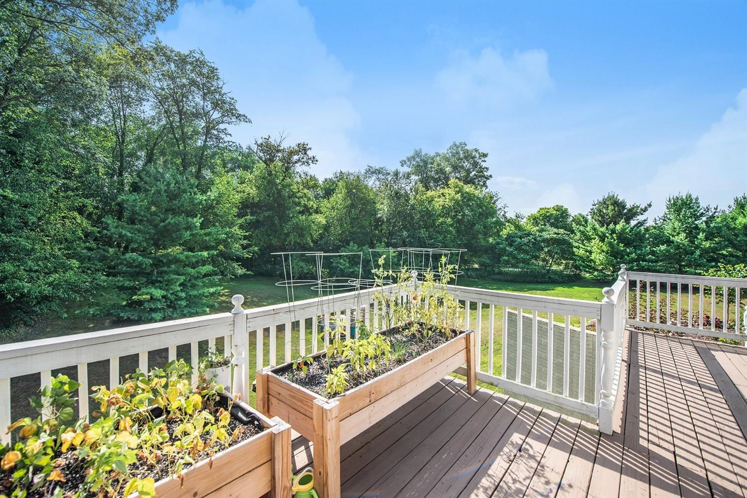 4625 Chapman Road Stockbridge, MI 49285 - Photo 23 of 33 Photo 23