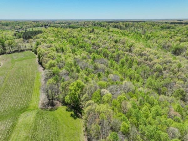 2167 Powdermill Hill Road Lawrenceburg, TN 38464 - Photo 22 of 33 a view of a yard