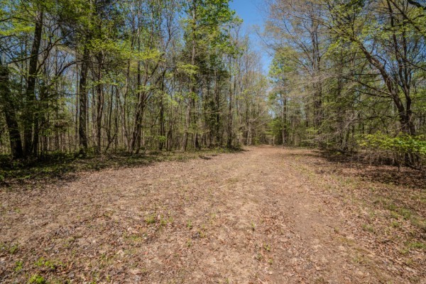 2167 Powdermill Hill Road Lawrenceburg, TN 38464 - Photo 28 of 33 a view of empty room with trees