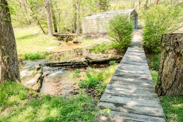 2167 Powdermill Hill Road Lawrenceburg, TN 38464 - Photo 6 of 33 a view of a pathway both side of yard