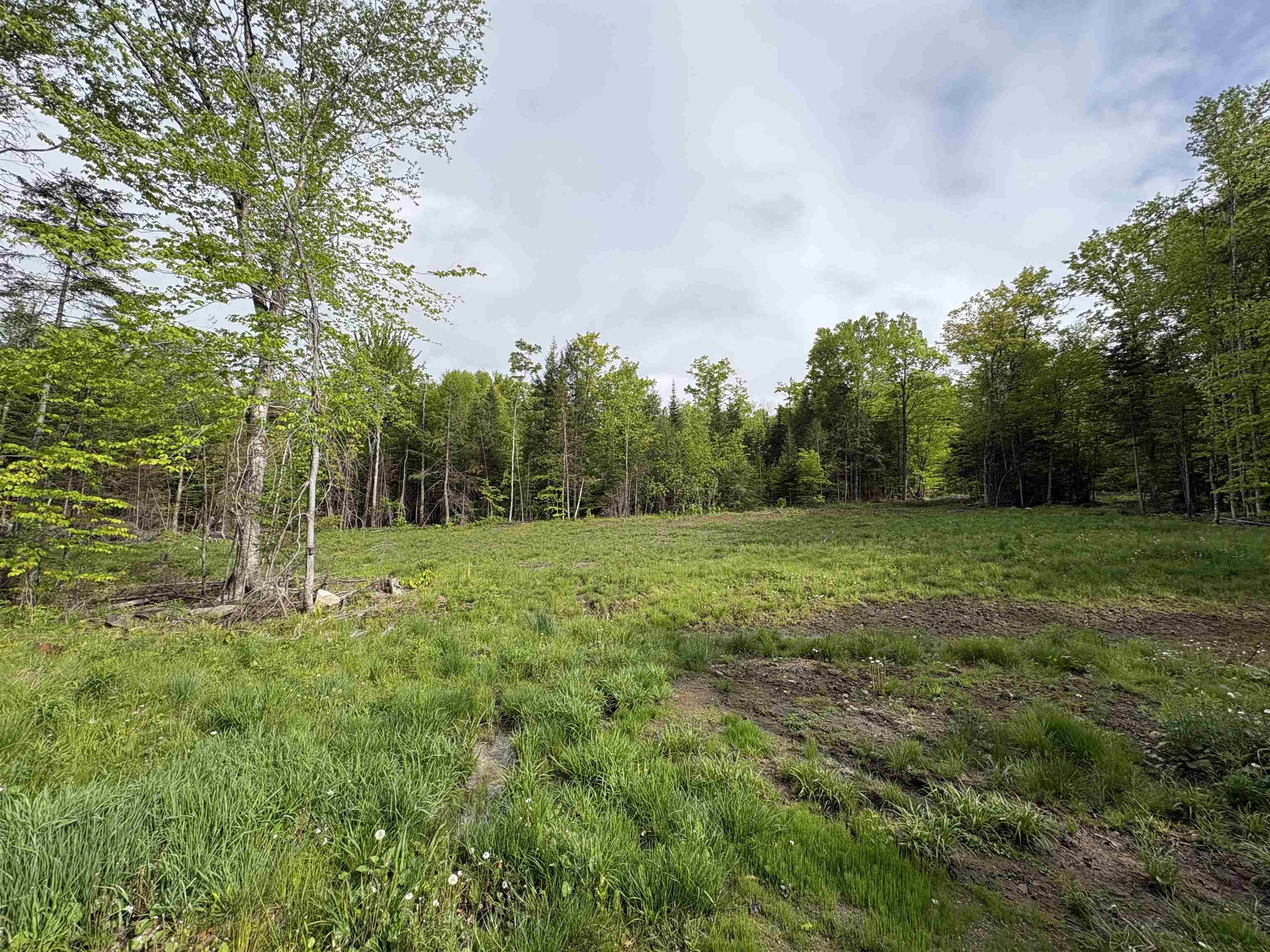 905 Peak Road Wheelock, VT 05851 - Photo 17 of 30