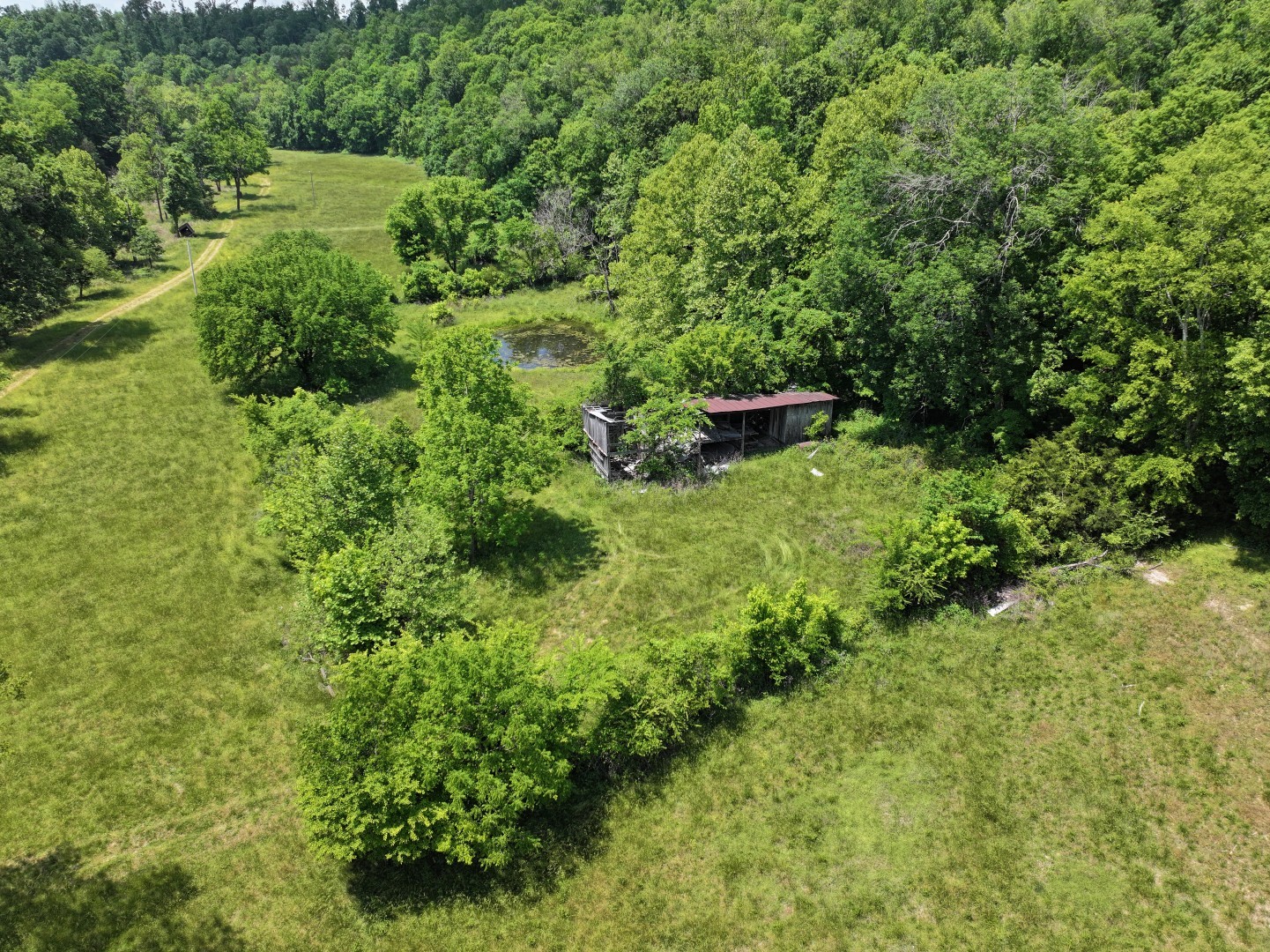110 Wade Reed Road White Bluff, TN 37187 - Photo 50 of 80