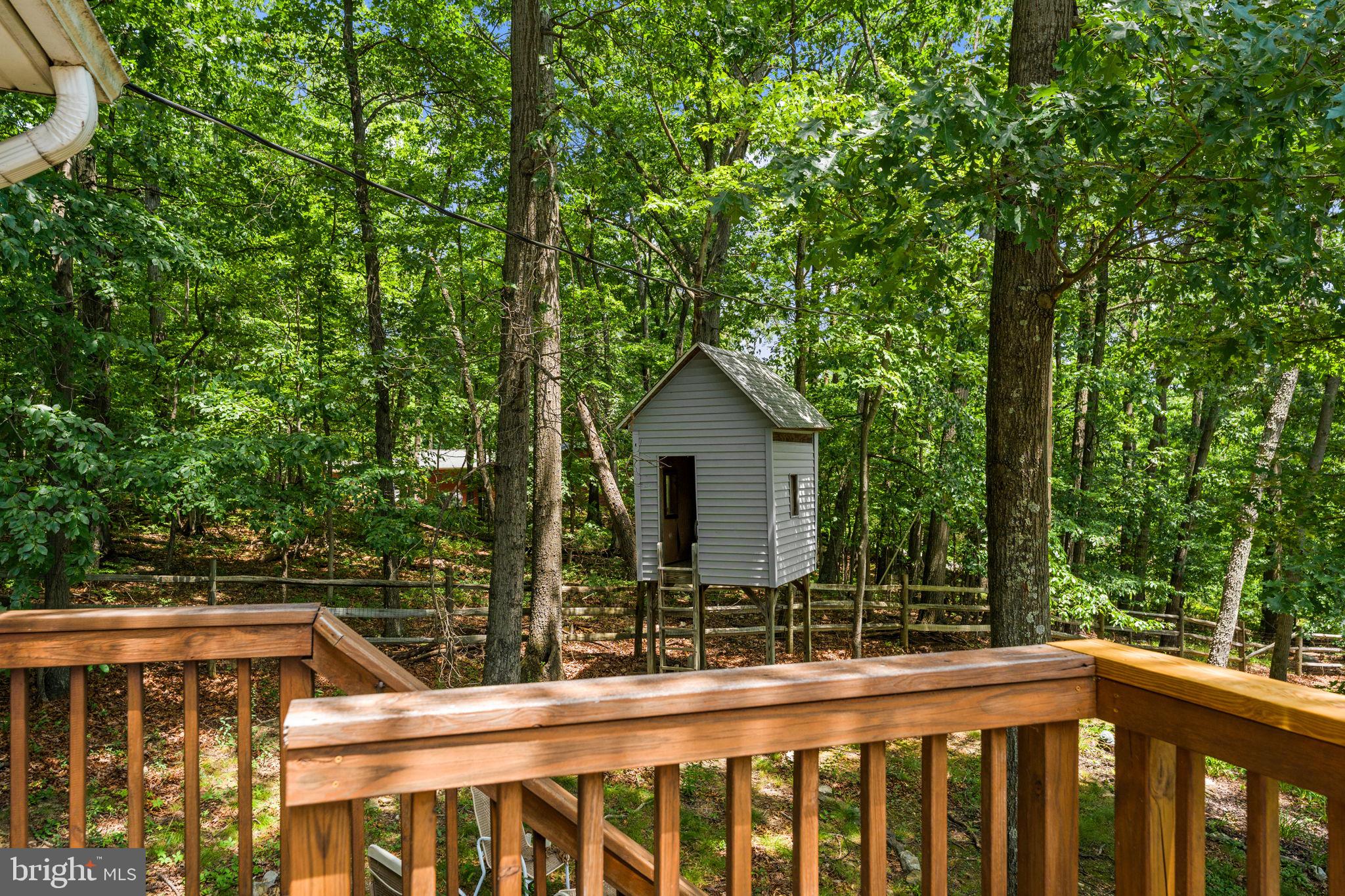 111 Geronimo Trail Winchester, VA 22602 - Photo 34 of 43 Tree house for hours of fun!