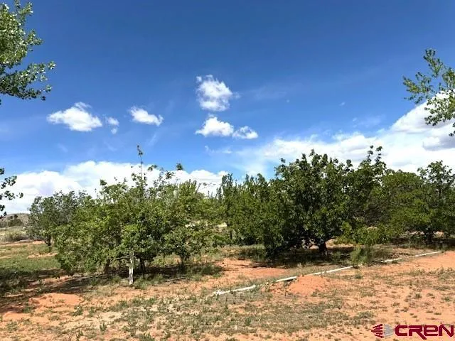a view of residential houses with outdoor space