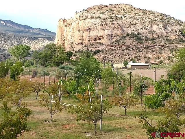 a view of a lake in middle of forest