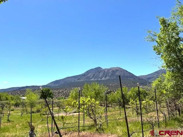 a view of a sign board