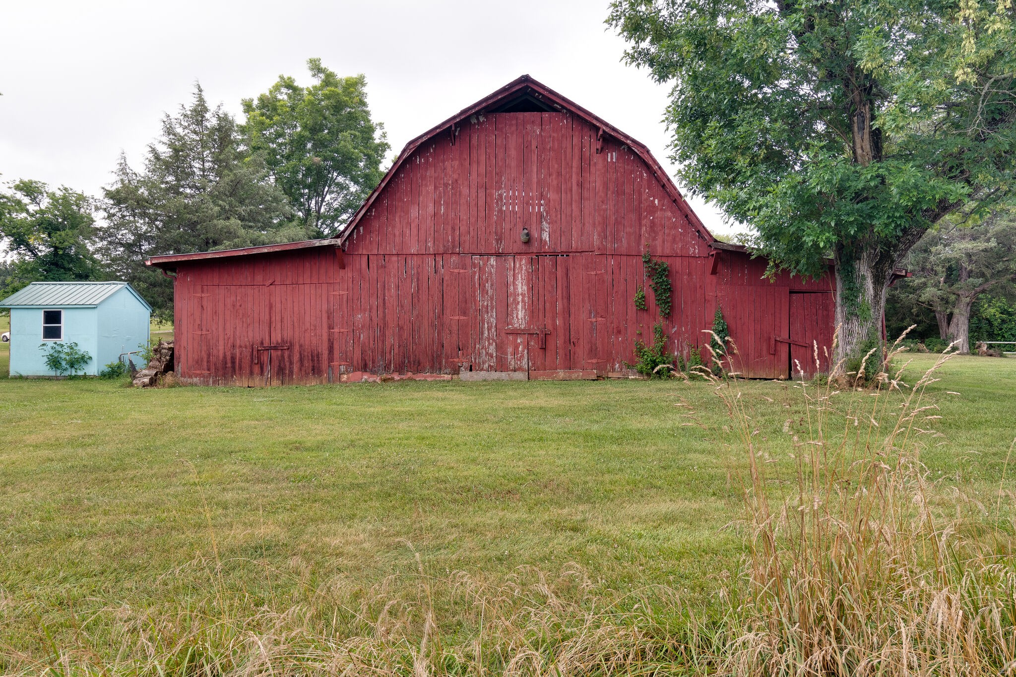 2366 Scribners Mill Road Culleoka, TN 38451 - Photo 6 of 21 Gallery Image 6