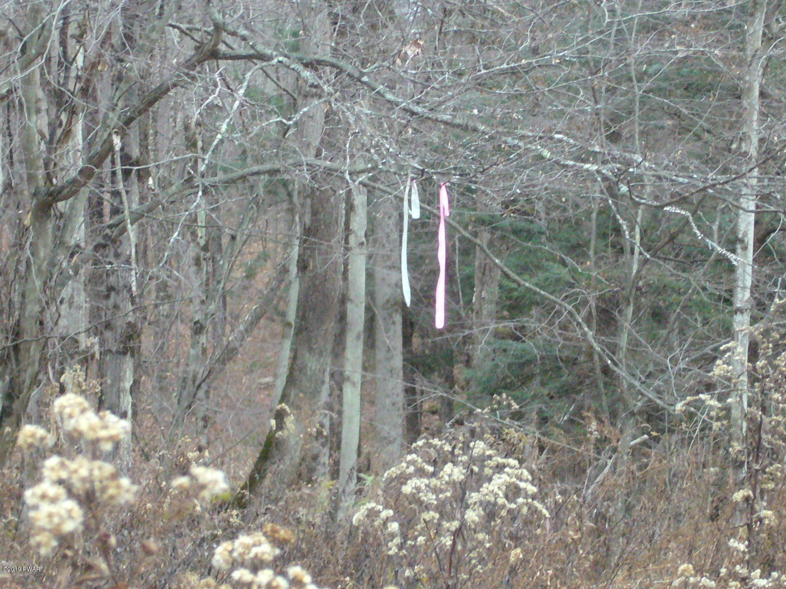 Simpson Road Lakewood, PA 18439 - Photo 12 of 14