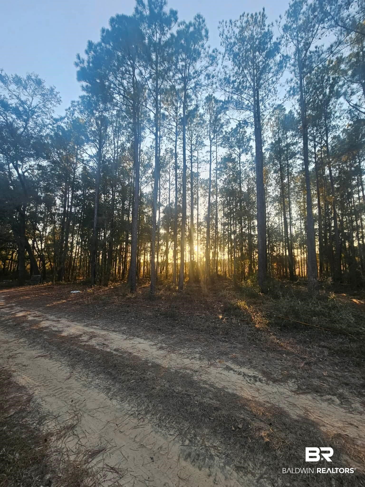 0 Gardner Road Elberta, AL 36530 - Photo 4 of 9