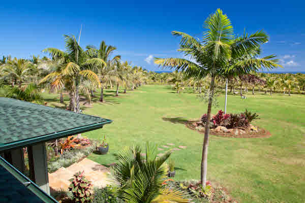 7200 D Koolau Road Kilauea, HI 96754 - Photo 12 of 25 Gallery Image 12