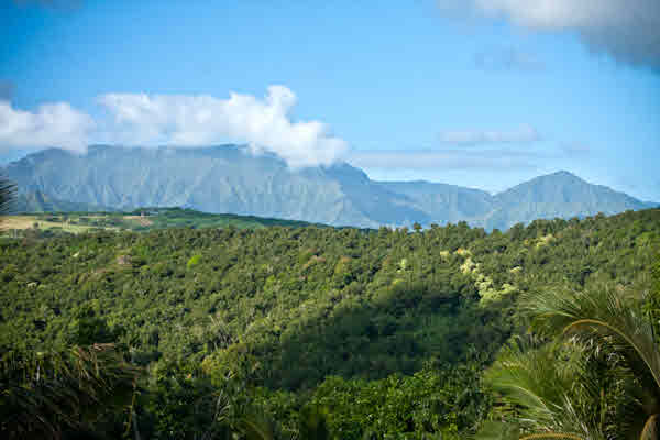 7200 D Koolau Road Kilauea, HI 96754 - Photo 17 of 25 Gallery Image 17