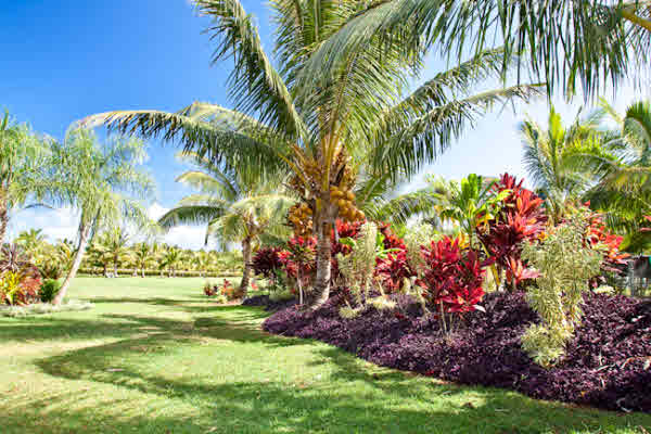 7200 D Koolau Road Kilauea, HI 96754 - Photo 22 of 25 Gallery Image 22
