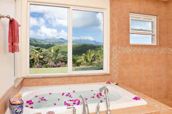 7200 D Koolau Road Kilauea, HI 96754 - Photo 10 of 25 Gallery Image 10