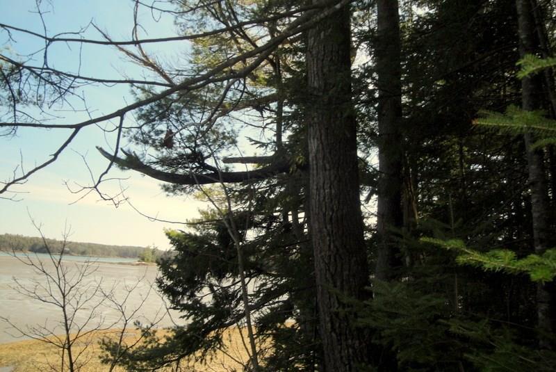 6 Harpswell Neck Road Harpswell, ME 04079 - Photo 5 of 31 Photo