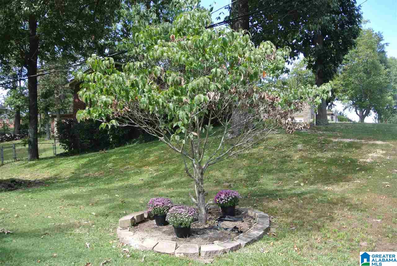 2704 2nd Way Northwest Center Point, AL 35215 - Photo 31 of 32 Gallery Image 31