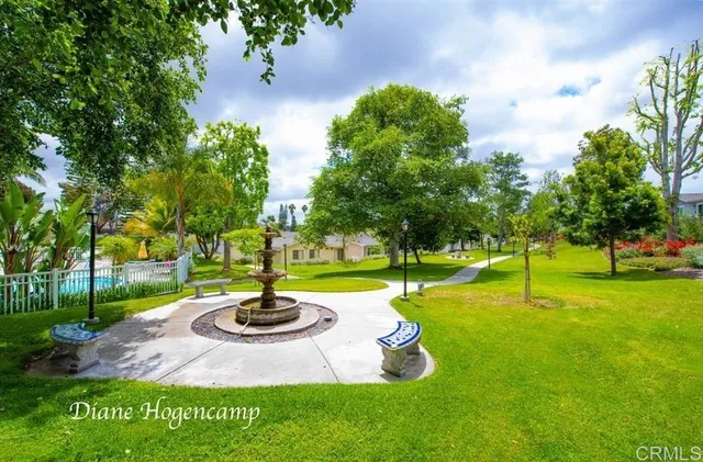 a swimming pool with lots of tress in front of it