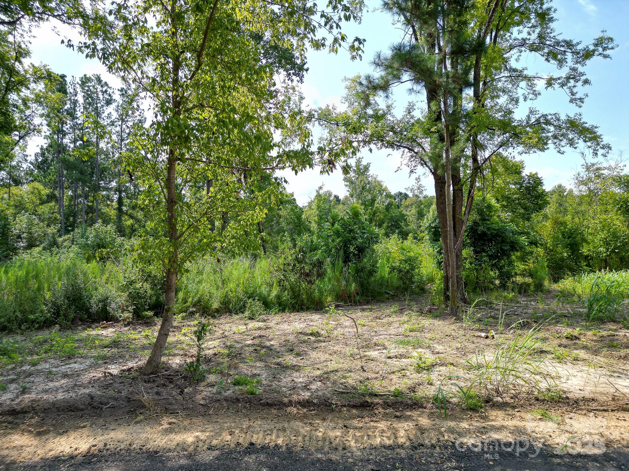 0 South Providence Road South, Unit 2 Waxhaw, NC 28173 - Photo 23 of 33 a view of outdoor space with trees all around