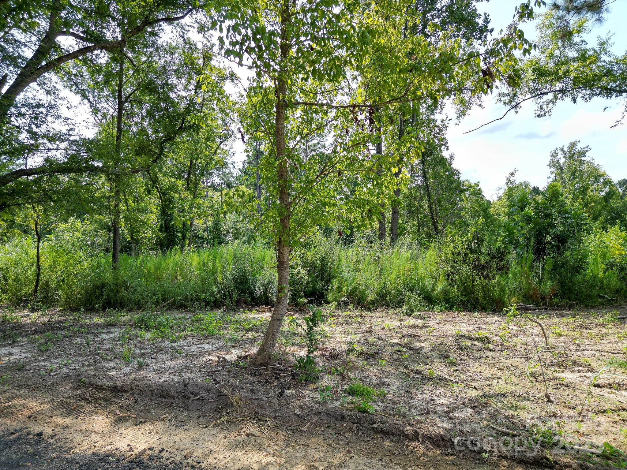 0 South Providence Road South, Unit 2 Waxhaw, NC 28173 - Photo 25 of 33 a view of backyard with green space