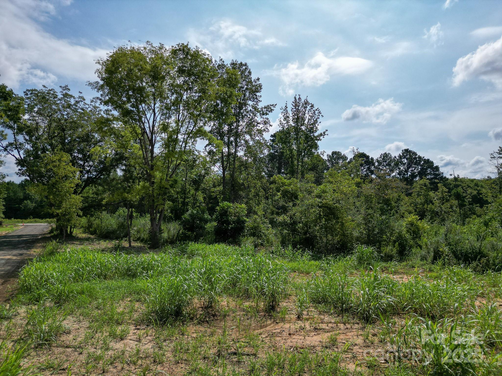 0 South Providence Road South, Unit 2 Waxhaw, NC 28173 - Photo 26 of 33 a view of a lush green forest