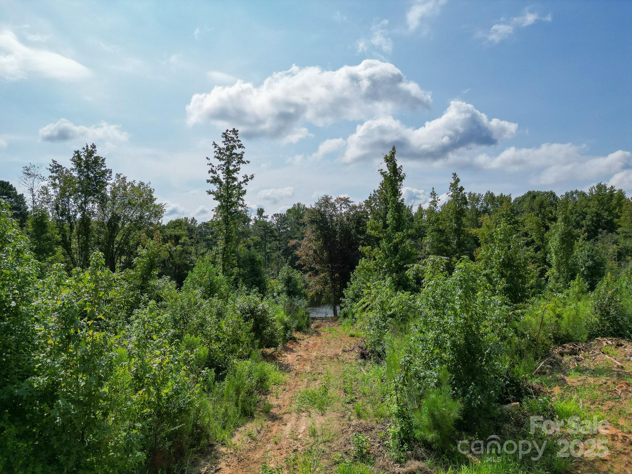0 South Providence Road South, Unit 2 Waxhaw, NC 28173 - Photo 27 of 33
