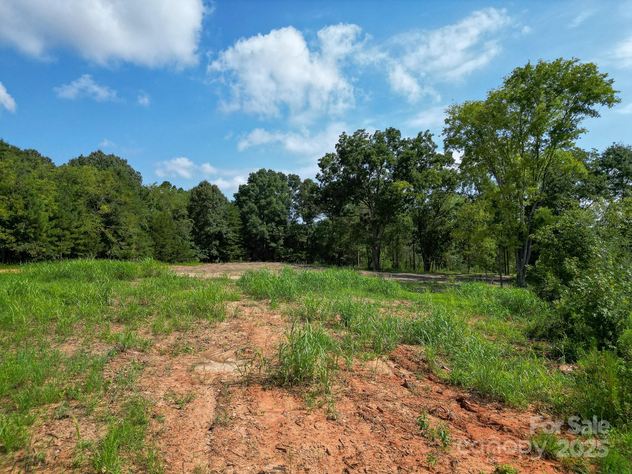 0 South Providence Road South, Unit 2 Waxhaw, NC 28173 - Photo 28 of 33 a view of a yard with a tree