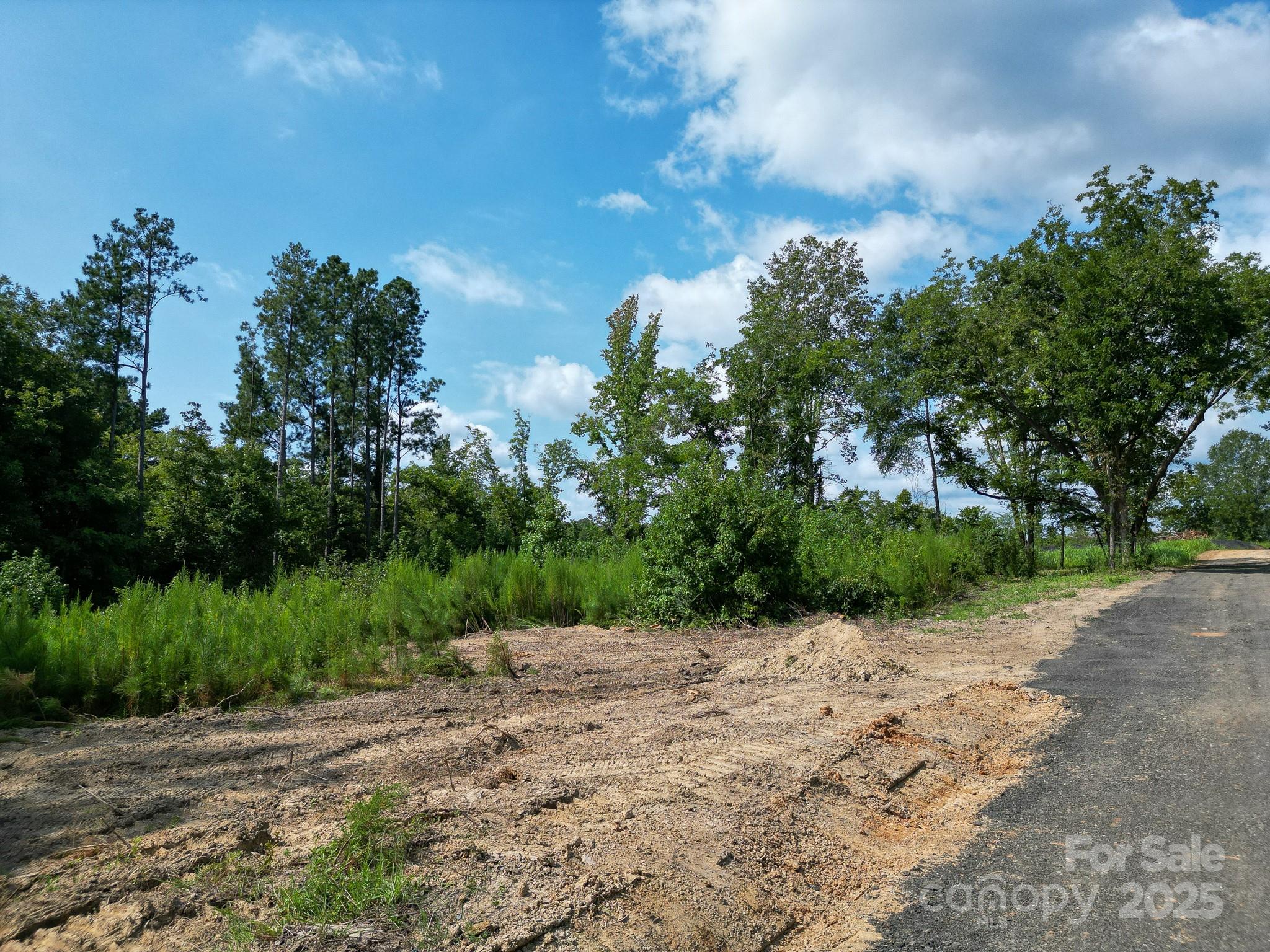 0 South Providence Road South, Unit 2 Waxhaw, NC 28173 - Photo 31 of 33 a view of a dry yard with trees