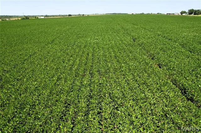 $219,000 | 0 Noel Drive, New Boston, MO 63557