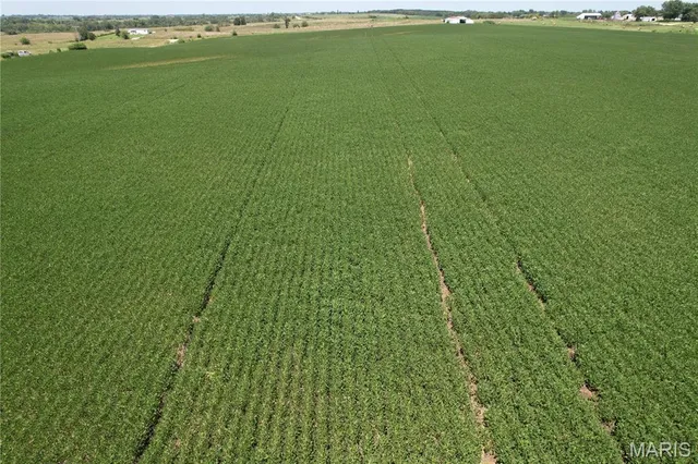 $219,000 | 0 Noel Drive, New Boston, MO 63557