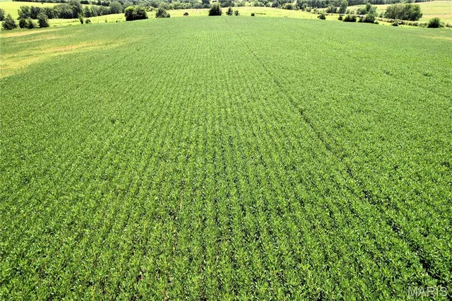 $219,000 | 0 Noel Drive, New Boston, MO 63557