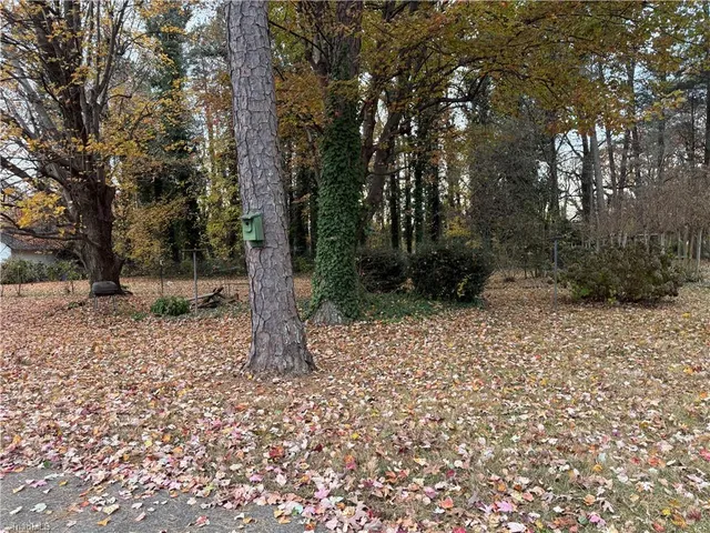 $295,000 | 602 South Main Street, Dobson, NC 27017