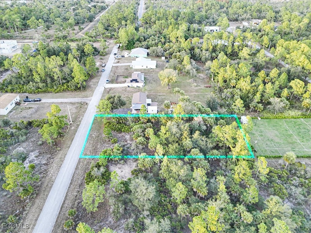 2310 Louis Avenue Alva, FL 33920 - Photo 3 of 32