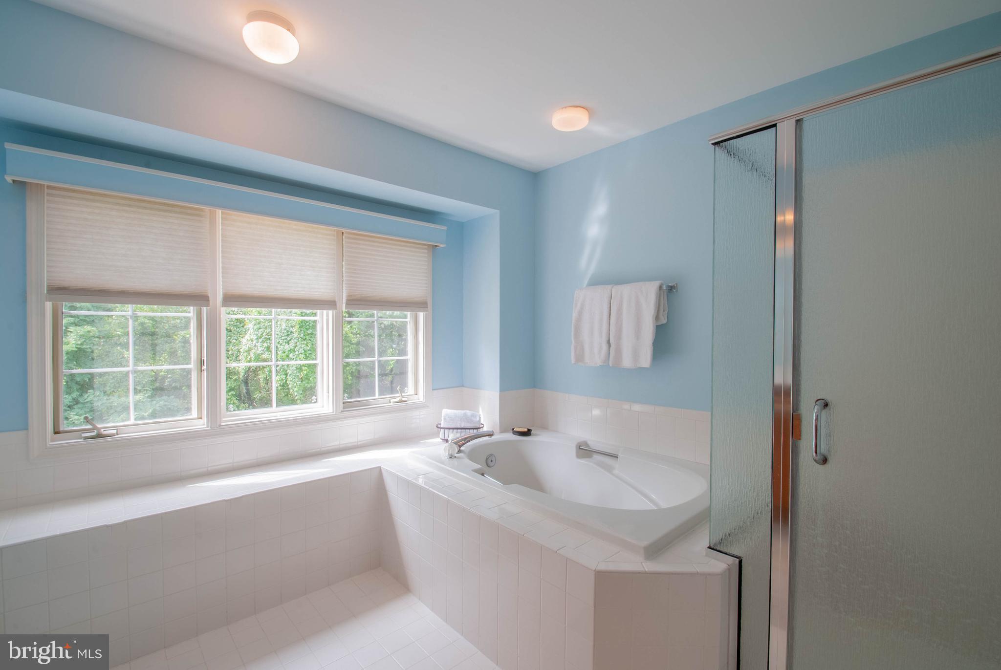 3206 Magnolia Ridge Road Annapolis, MD 21403 - Photo 24 of 43 soaking tub and separate shower