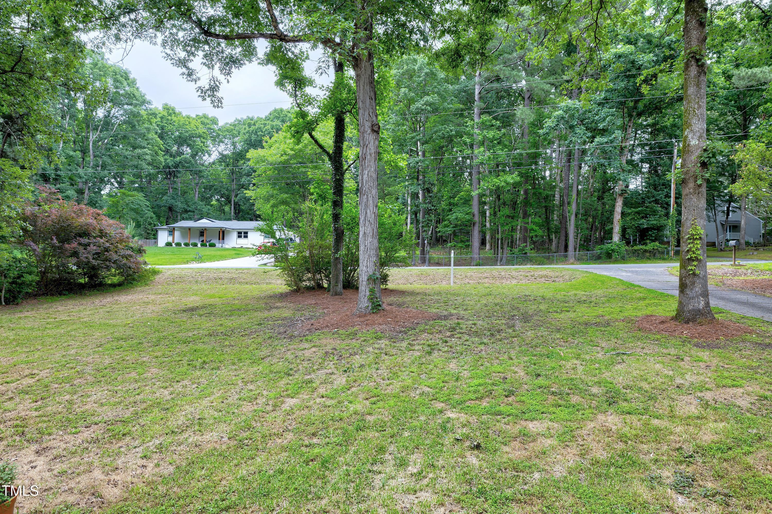 5121 Raintree Road Durham, NC 27712 - Photo 8 of 59 a view of a trees in a park