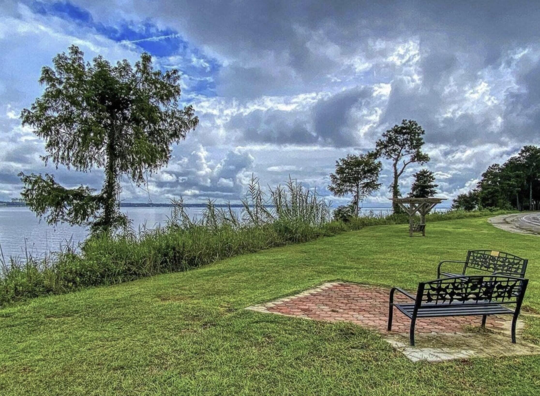 102 Cooper Drive Santee, SC 29142 - Photo 62 of 66 Lake Views